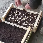 Gospodarstwo agroturystyczne Fioredizucca Albenga