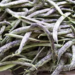 Gospodarstwo agroturystyczne Fioredizucca *