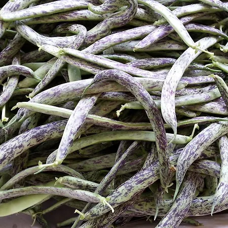 Farm stay Fioredizucca *