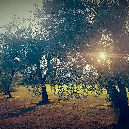 Fioredizucca Farm stay
