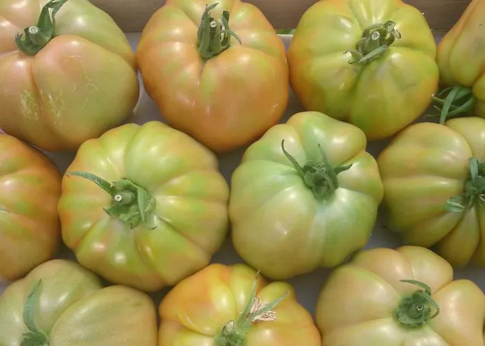 Fioredizucca Séjour à la ferme