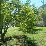 Alojamento de Turismo Rural Fioredizucca